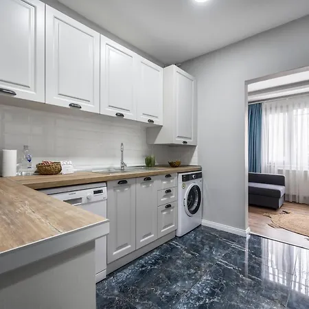Stylishly Decorated 1br Flat With Ac In Cihangir
